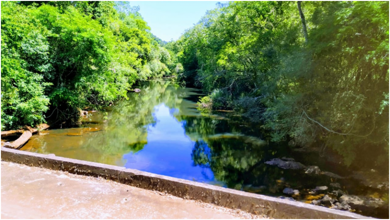 Vendo Chacra de 43,5 hectareas en Aristobulo del Valle Arroyo Alegre