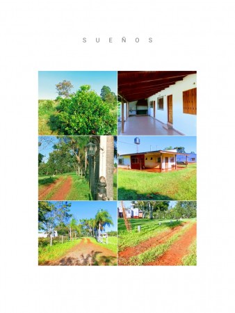Vendo Chacra bien ubicada con yerba, casas y piscina