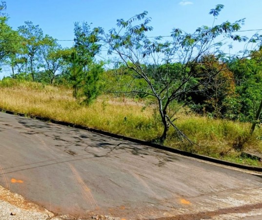 Terreno en Dos de Mayo centrico