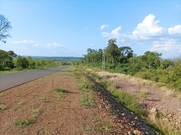 VENDO CHACRA CAMPO EN PROFUNDIDAD CANDELARIA 10 HECTAREAS SOBRE ASFALTO A 20 MINUTOS DE POSADAS