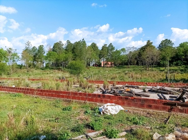 VENDO CHACRA CAMPO EN PROFUNDIDAD CANDELARIA 10 HECTAREAS SOBRE ASFALTO A 20 MINUTOS DE POSADAS