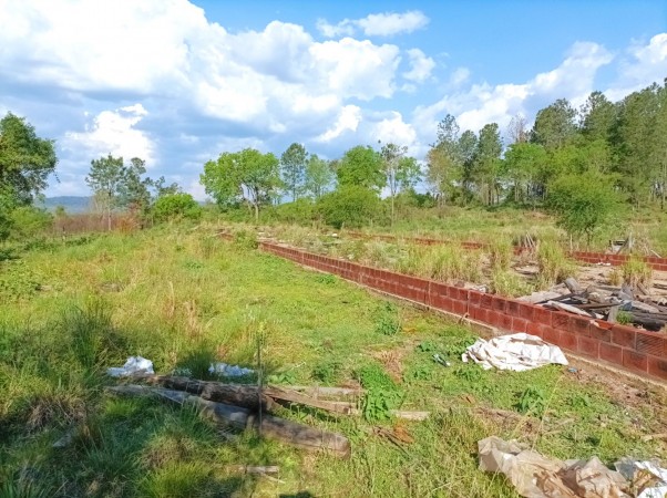 VENDO CHACRA CAMPO EN PROFUNDIDAD CANDELARIA 10 HECTAREAS SOBRE ASFALTO A 20 MINUTOS DE POSADAS