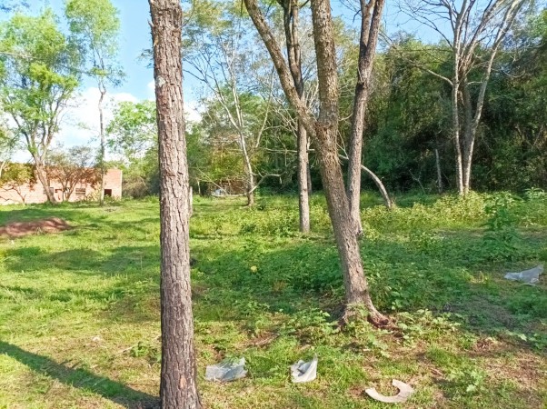 VENDO CHACRA CAMPO EN PROFUNDIDAD CANDELARIA 10 HECTAREAS SOBRE ASFALTO A 20 MINUTOS DE POSADAS