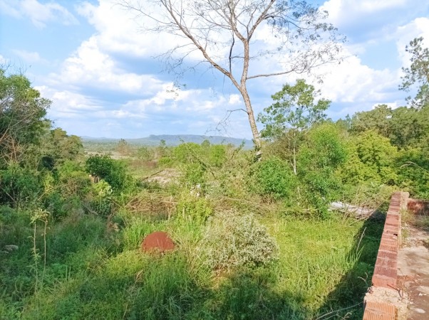 VENDO CHACRA CAMPO EN PROFUNDIDAD CANDELARIA 10 HECTAREAS SOBRE ASFALTO A 20 MINUTOS DE POSADAS