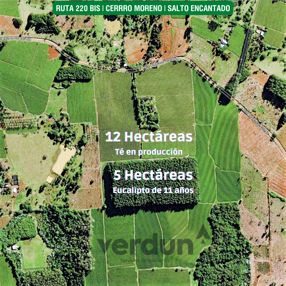 Chacra de 18 hectareas Cerro Moreno sobre Ruta Provincial 220 Bis