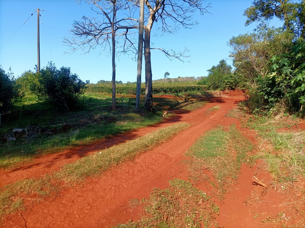 Vendo Chacra de 5,70 hectareas de te