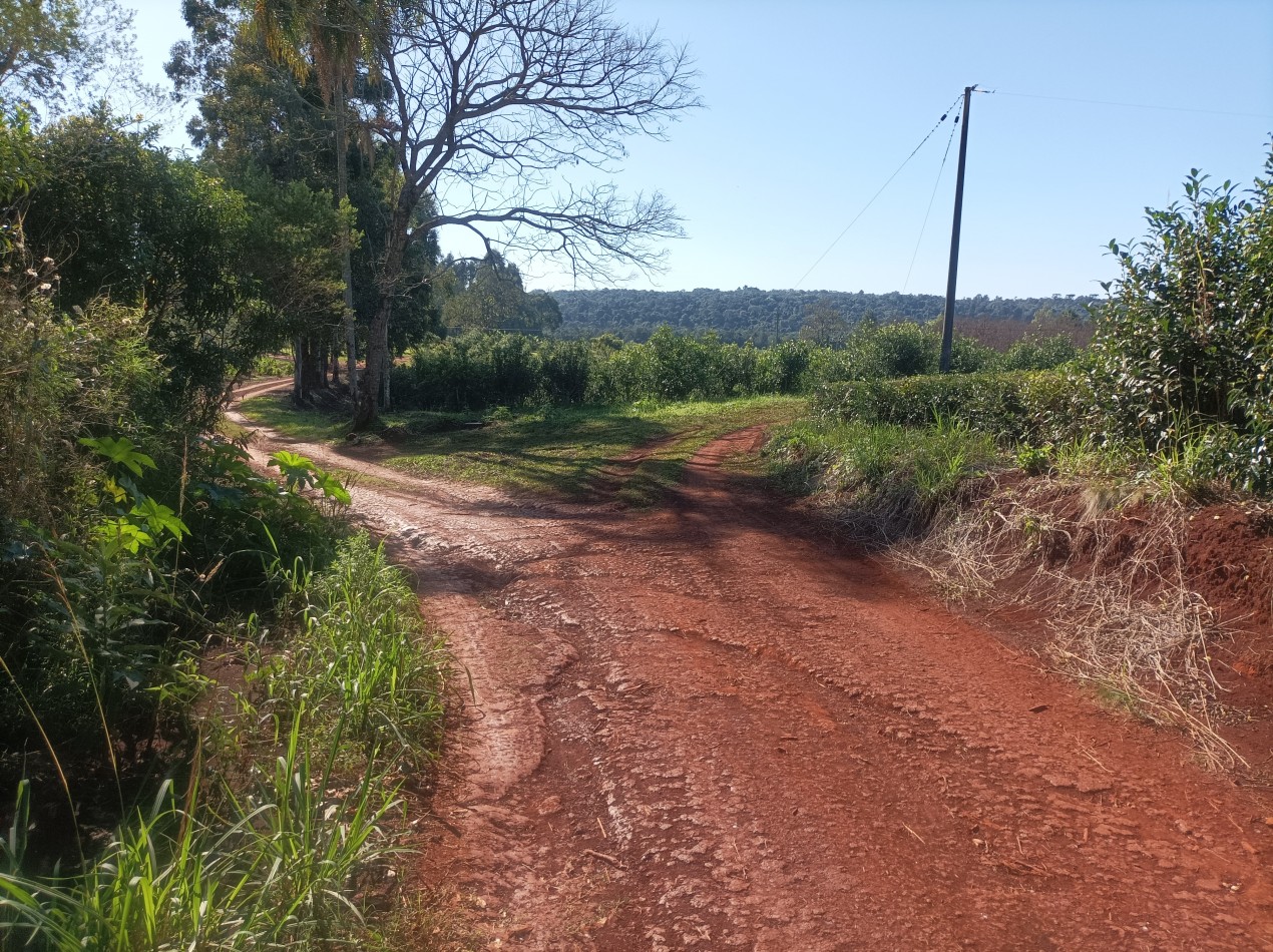 Vendo Chacra de 5,70 hectareas de te