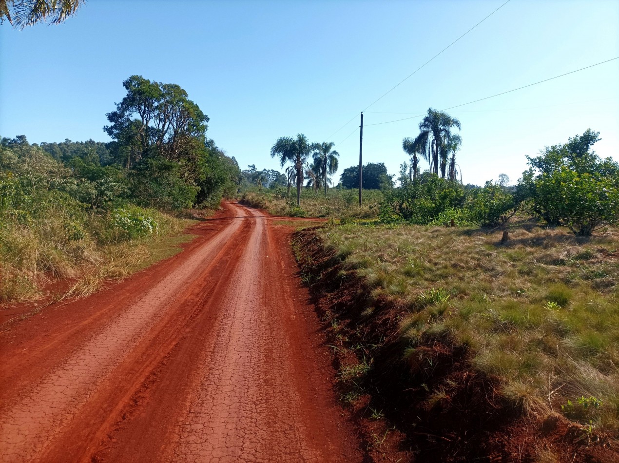 Vendo 5,7 hectareas de Te en Picada Brasil