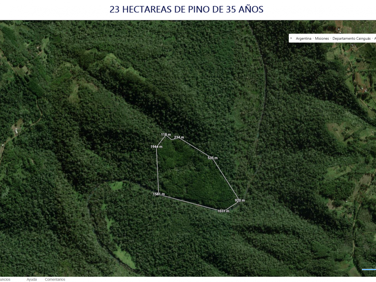 VENDO CHACRA CAMPO LOTE AGRICOLA CON RIQUEZA FORESTAL 37,25 ha