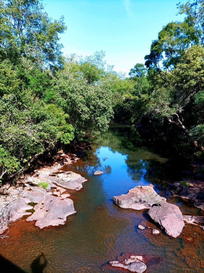 Vendo Chacra de 43,5 hectareas en Aristobulo del Valle Arroyo Alegre