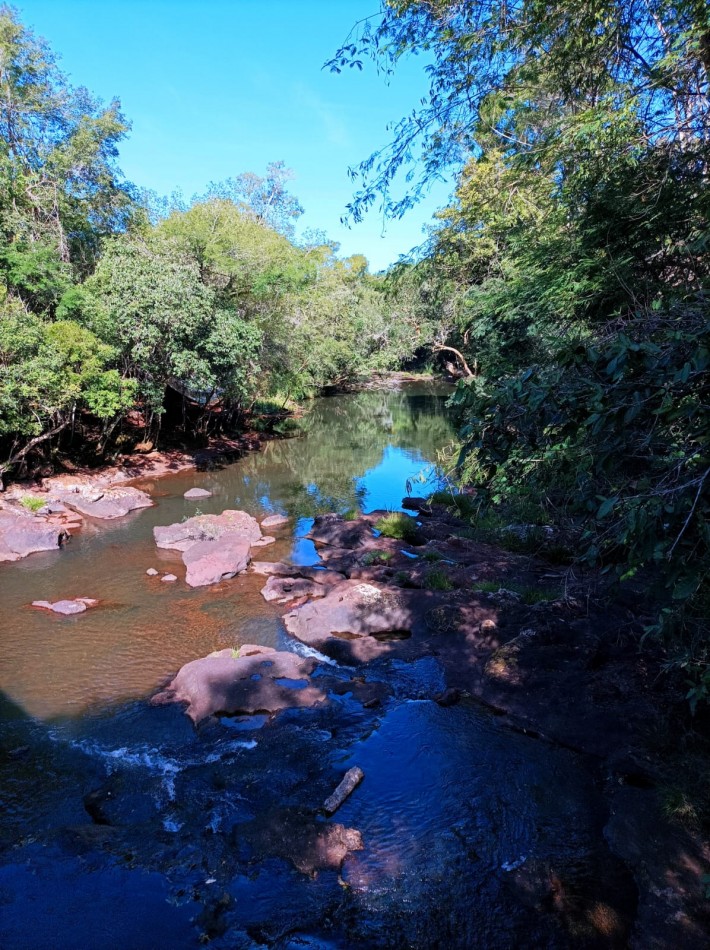 Vendo Chacra de 43,5 hectareas en Aristobulo del Valle Arroyo Alegre