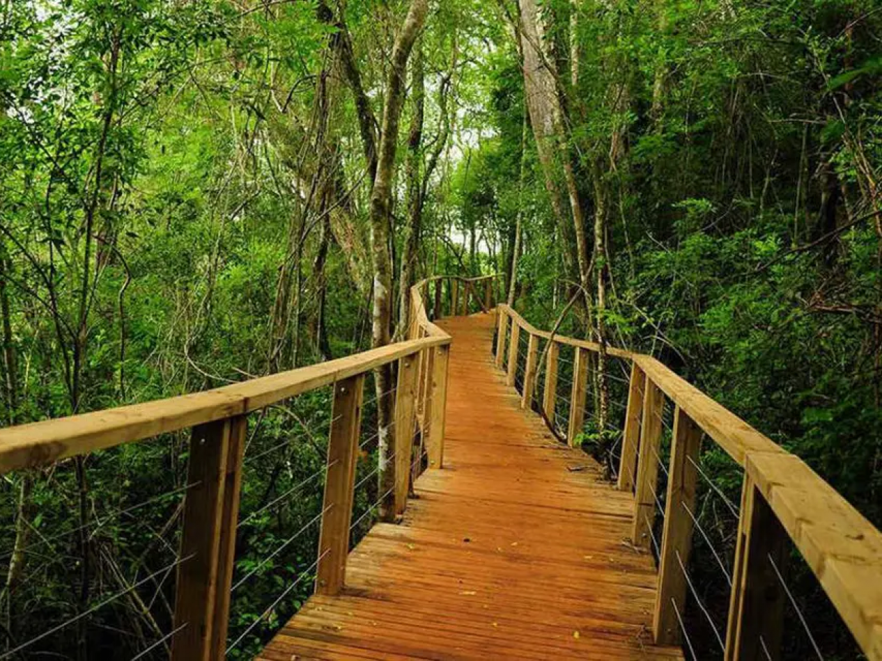 TERRENO EN VENTA EN SALTO ENCANTADO CERCA ESTACION DE SERVICIO SAN EXPEDITO