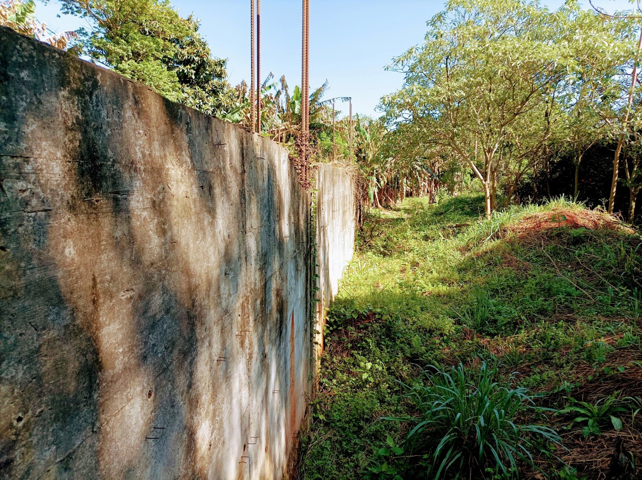 Terreno en Venta sobre Av. de Las Americas