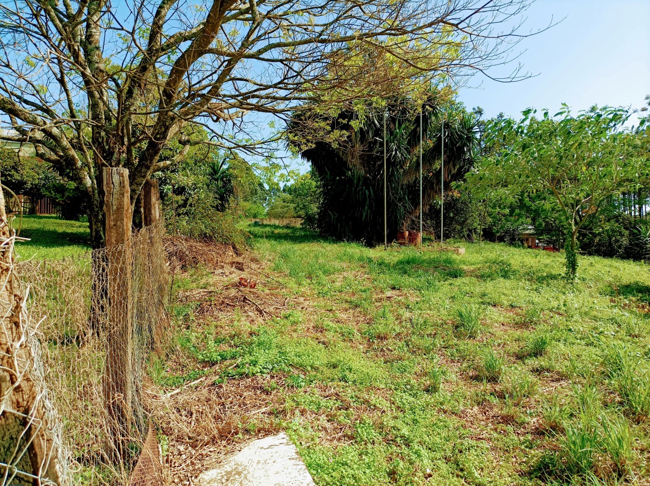 Terreno en Venta sobre Av. de Las Americas