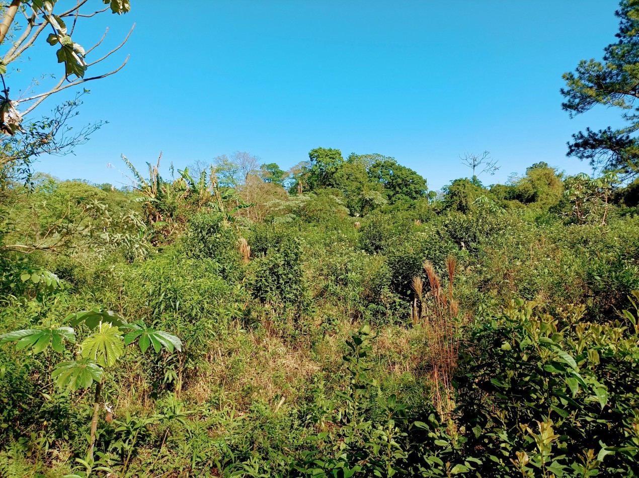 Terreno en Venta 100 metros sobre Ruta Nac. 14 Zona Urbana