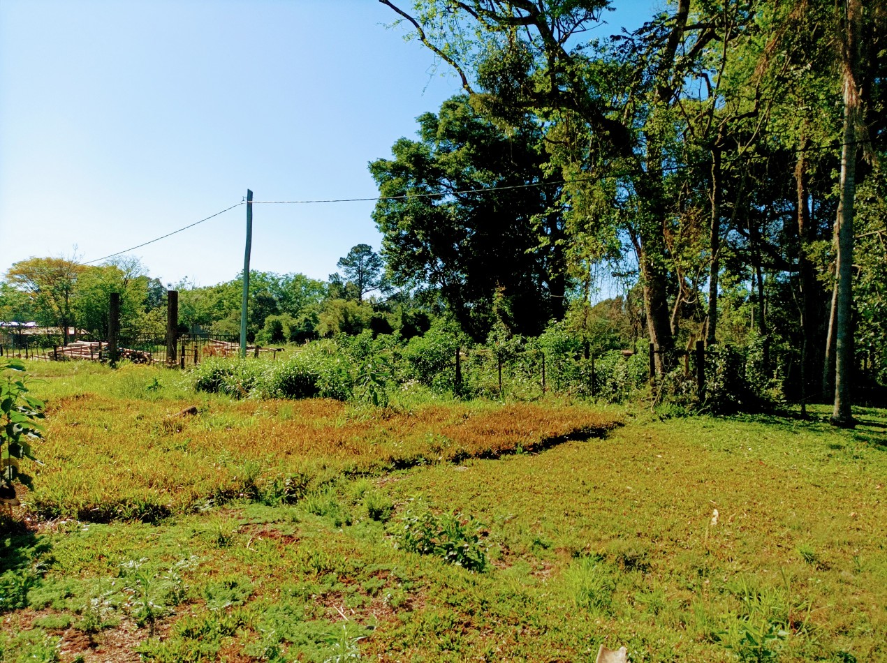 Terreno en Venta 100 metros sobre Ruta Nac. 14 Zona Urbana