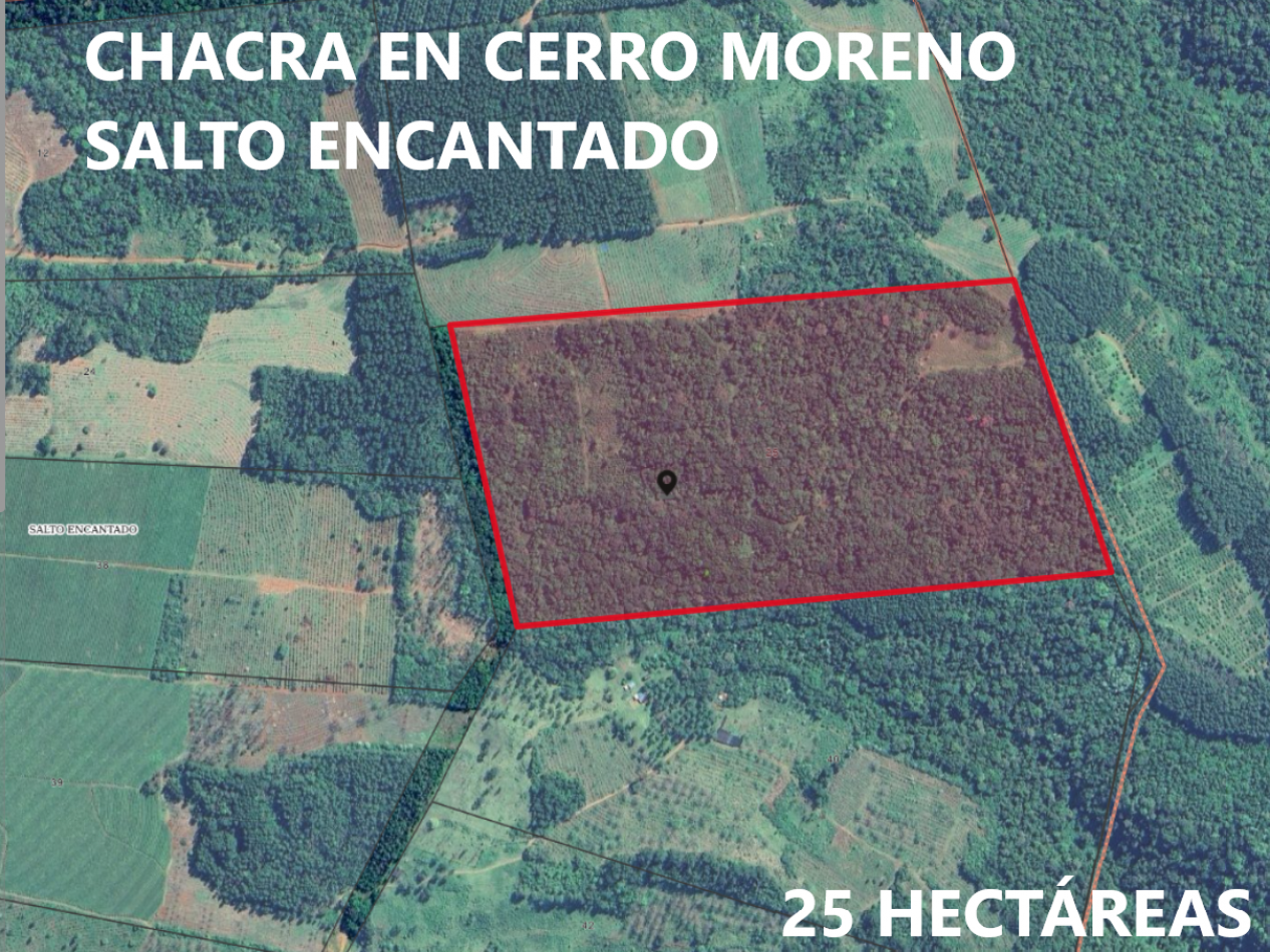 VENDO CHACRA EN CERRO MORENO A 500 METROS DE LA RUTA 220