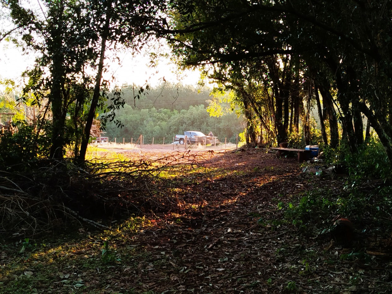 Terreno estrategico sobre Ruta Nacional 12 - Cerca de Jardin America, ideal para inversion comercial