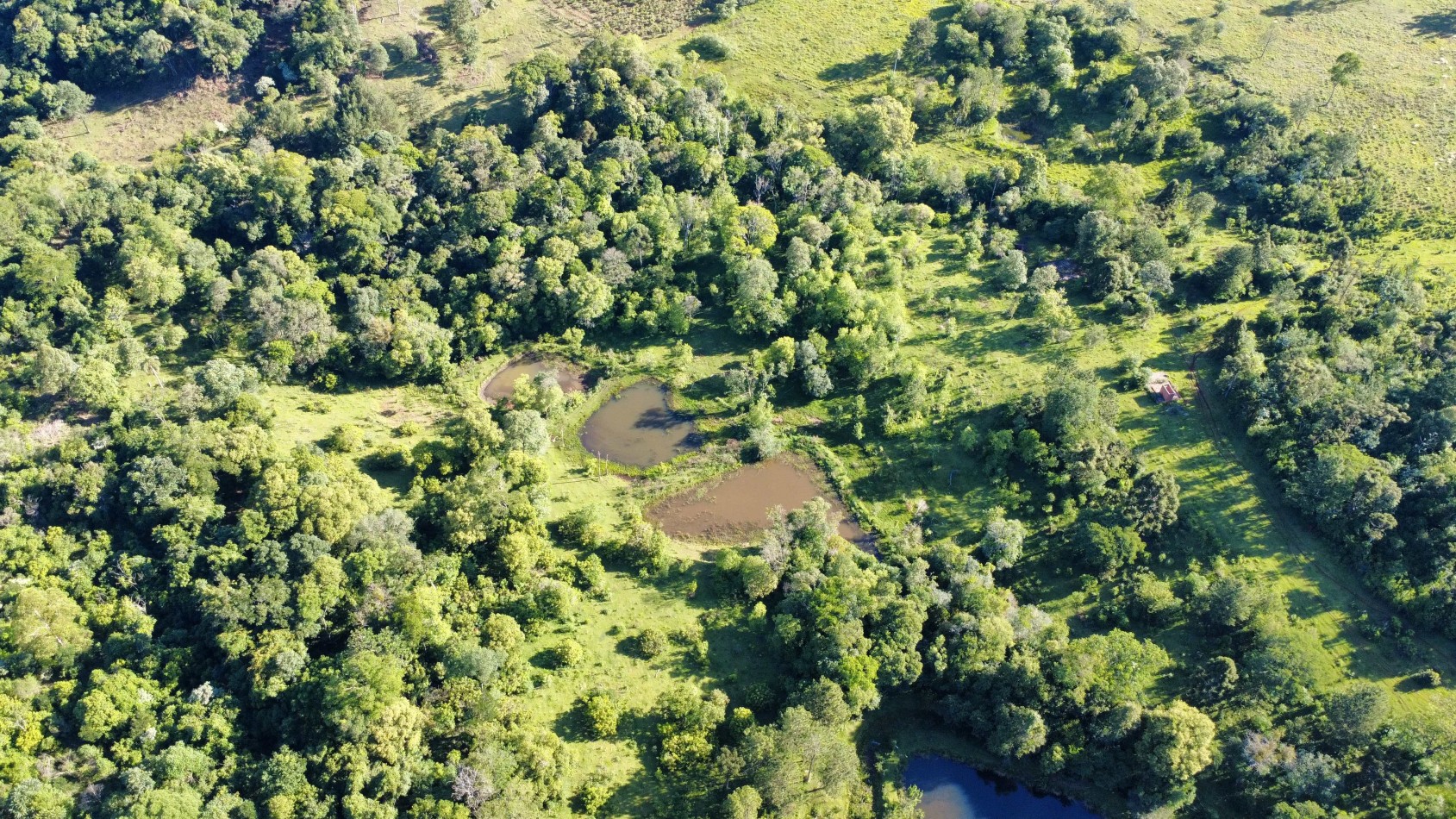 8 hectareas en venta a pasitos de Ruta 14 Aristobulo del Valle