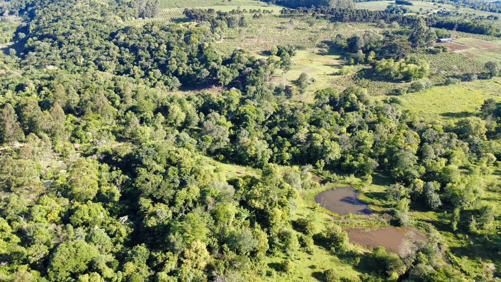 8 hectareas en venta a pasitos de Ruta 14 Aristobulo del Valle