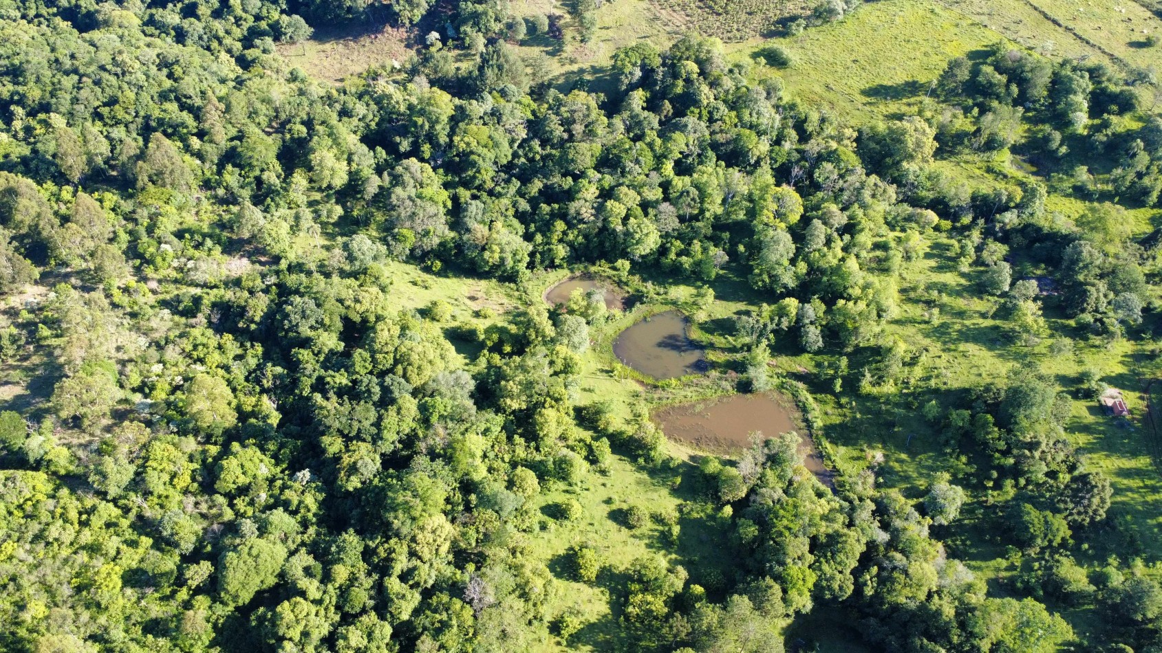 8 hectareas en venta a pasitos de Ruta 14 Aristobulo del Valle