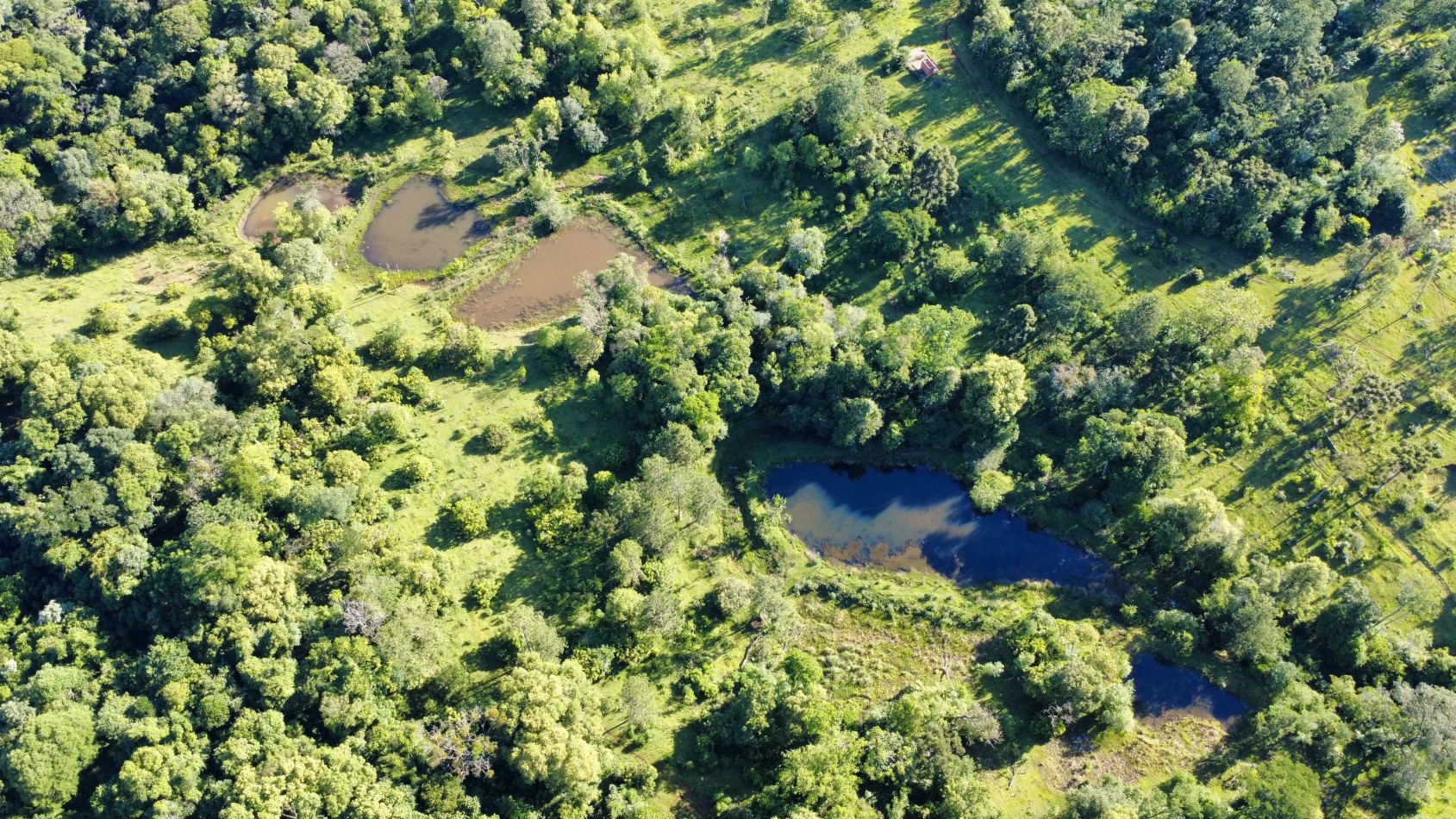 8 hectareas en venta a pasitos de Ruta 14 Aristobulo del Valle
