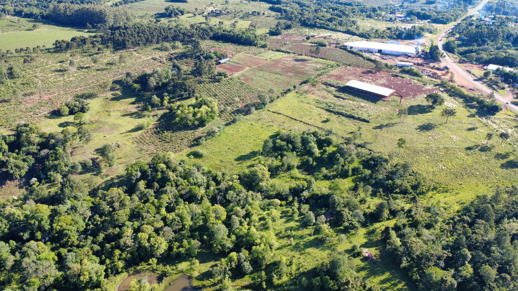 8 hectareas en venta a pasitos de Ruta 14 Aristobulo del Valle