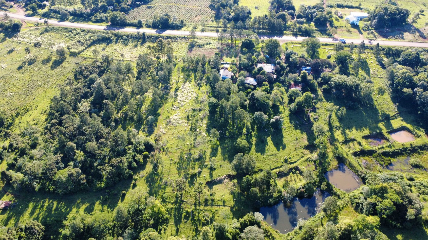 8 hectareas en venta a pasitos de Ruta 14 Aristobulo del Valle