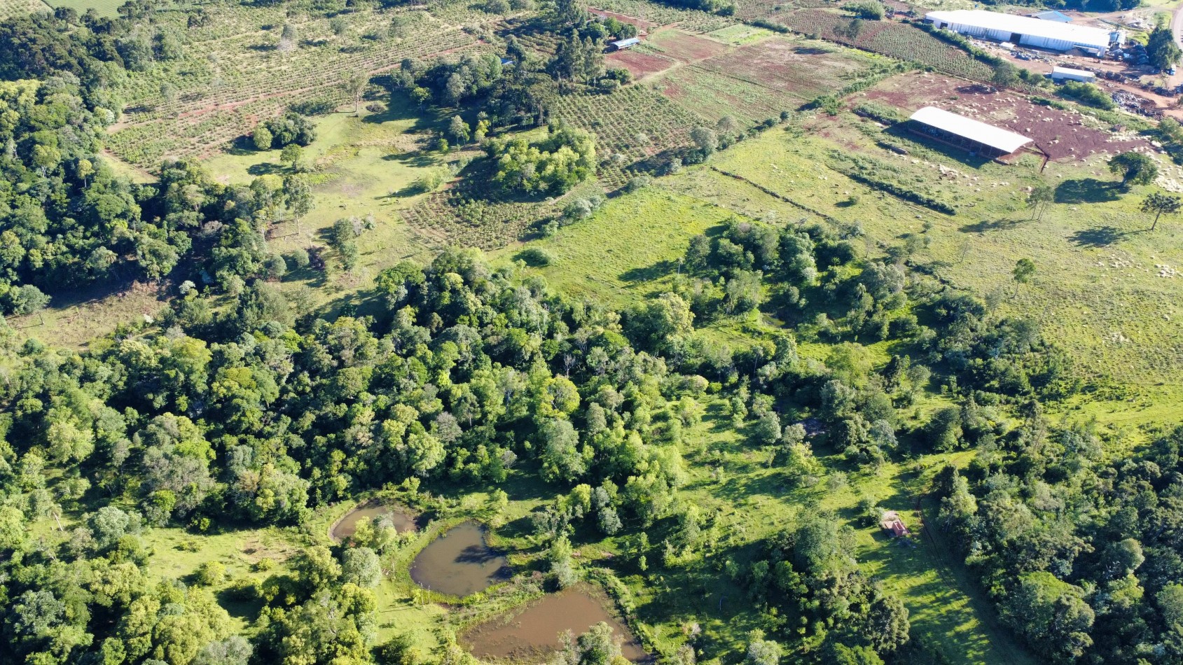 8 hectareas en venta a pasitos de Ruta 14 Aristobulo del Valle