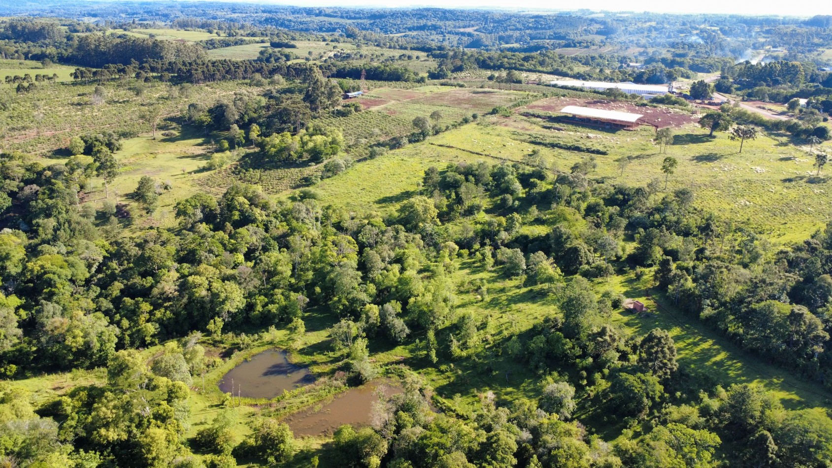 8 hectareas en venta a pasitos de Ruta 14 Aristobulo del Valle