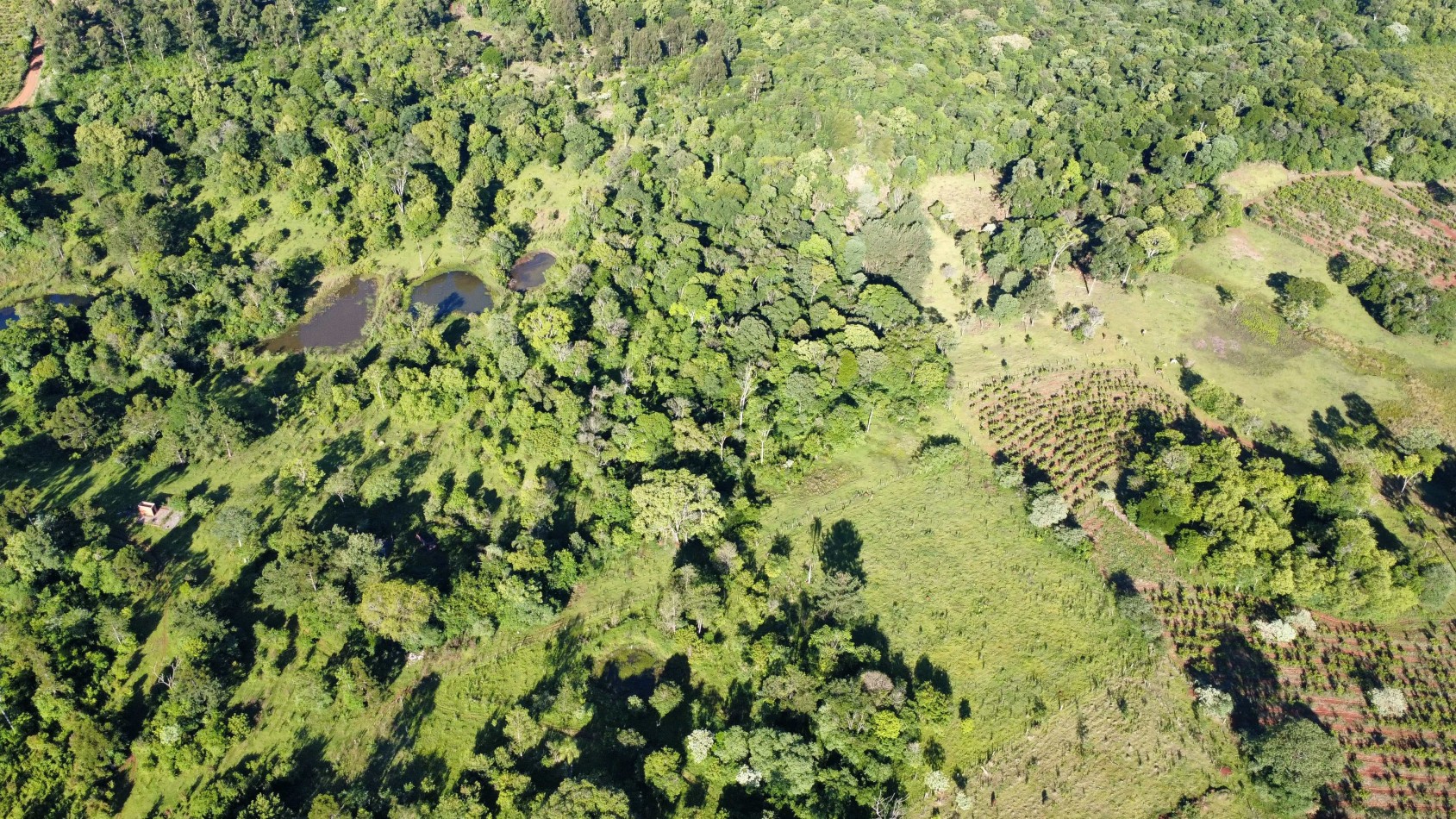 8 hectareas en venta a pasitos de Ruta 14 Aristobulo del Valle