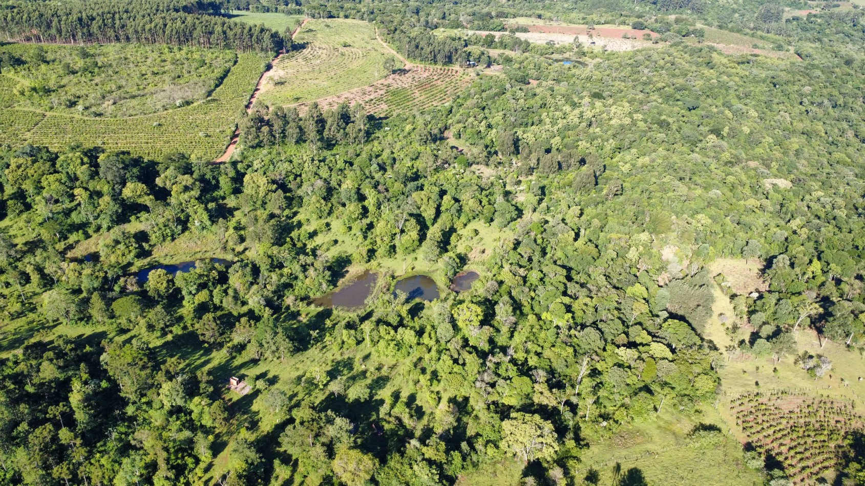 8 hectareas en venta a pasitos de Ruta 14 Aristobulo del Valle