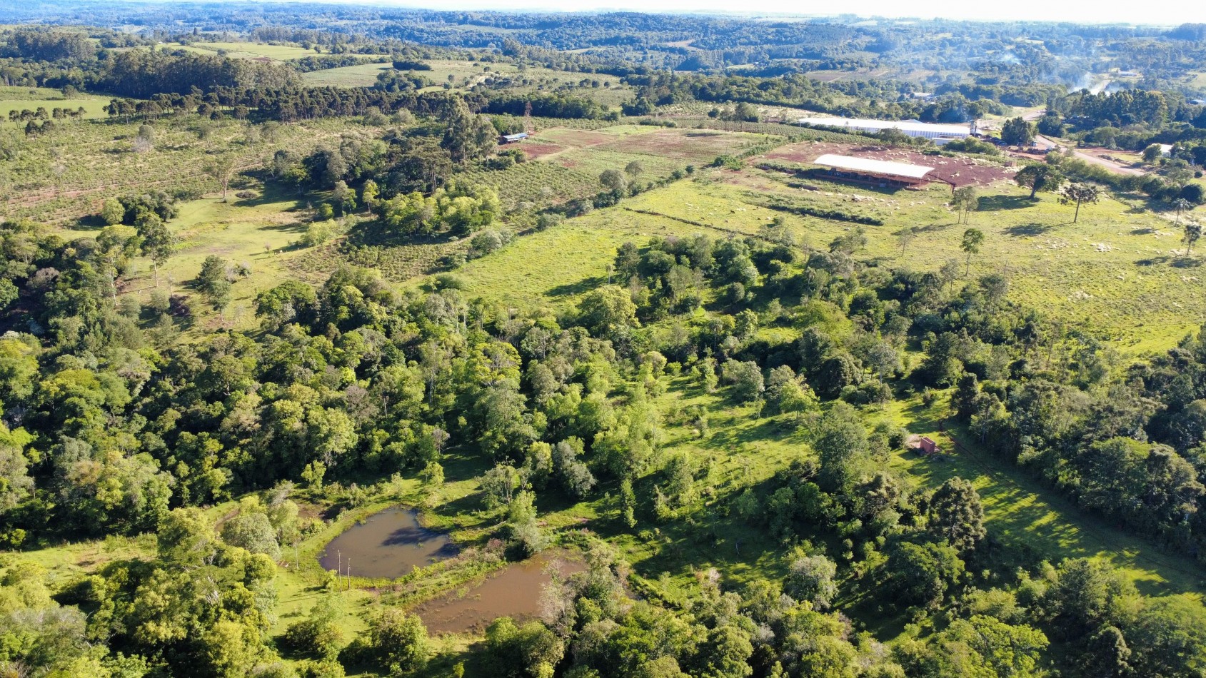 8 hectareas en venta a pasitos de Ruta 14 Aristobulo del Valle