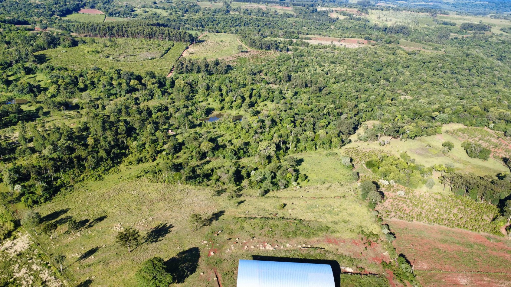 8 hectareas en venta a pasitos de Ruta 14 Aristobulo del Valle