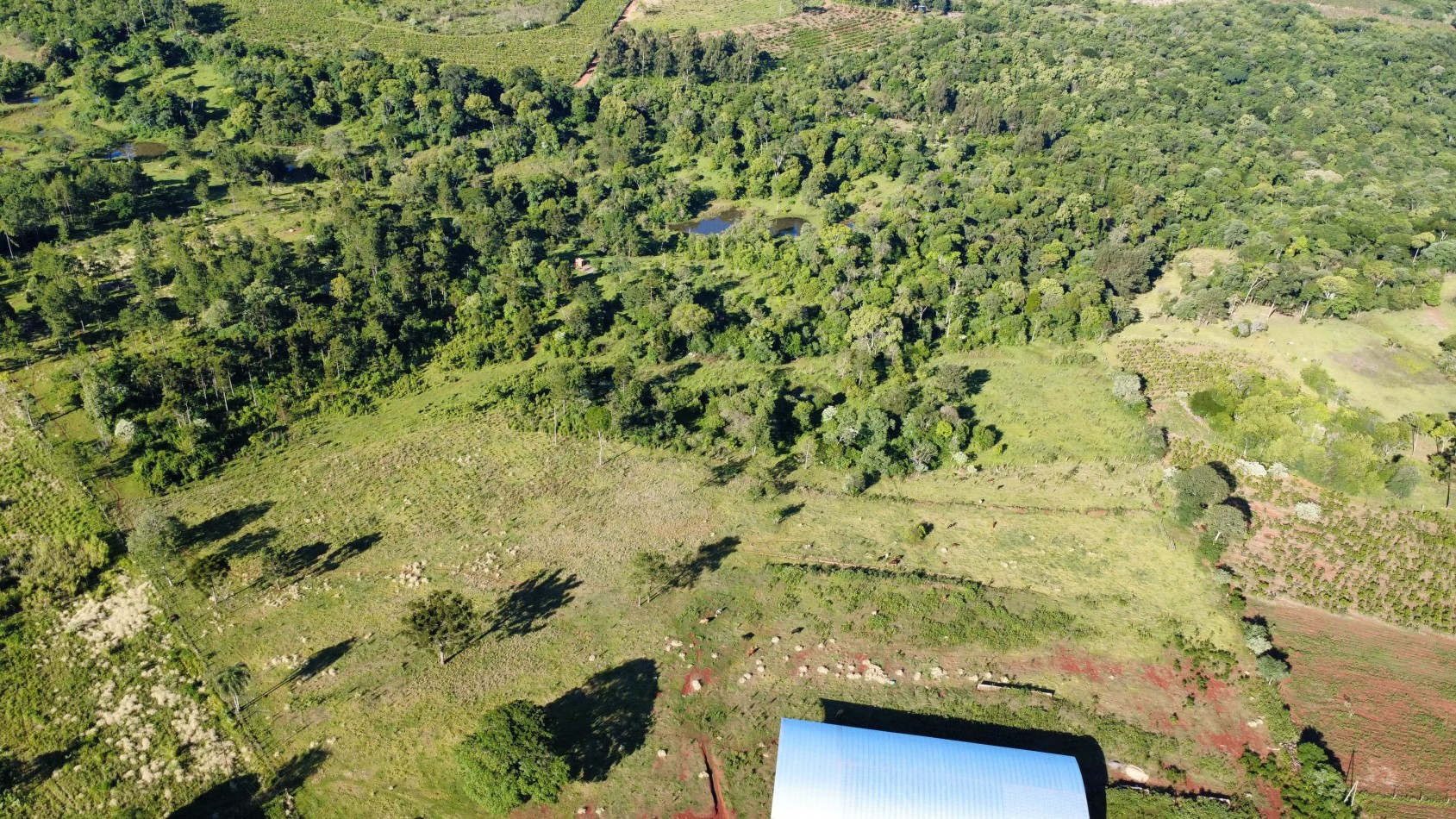 8 hectareas en venta a pasitos de Ruta 14 Aristobulo del Valle