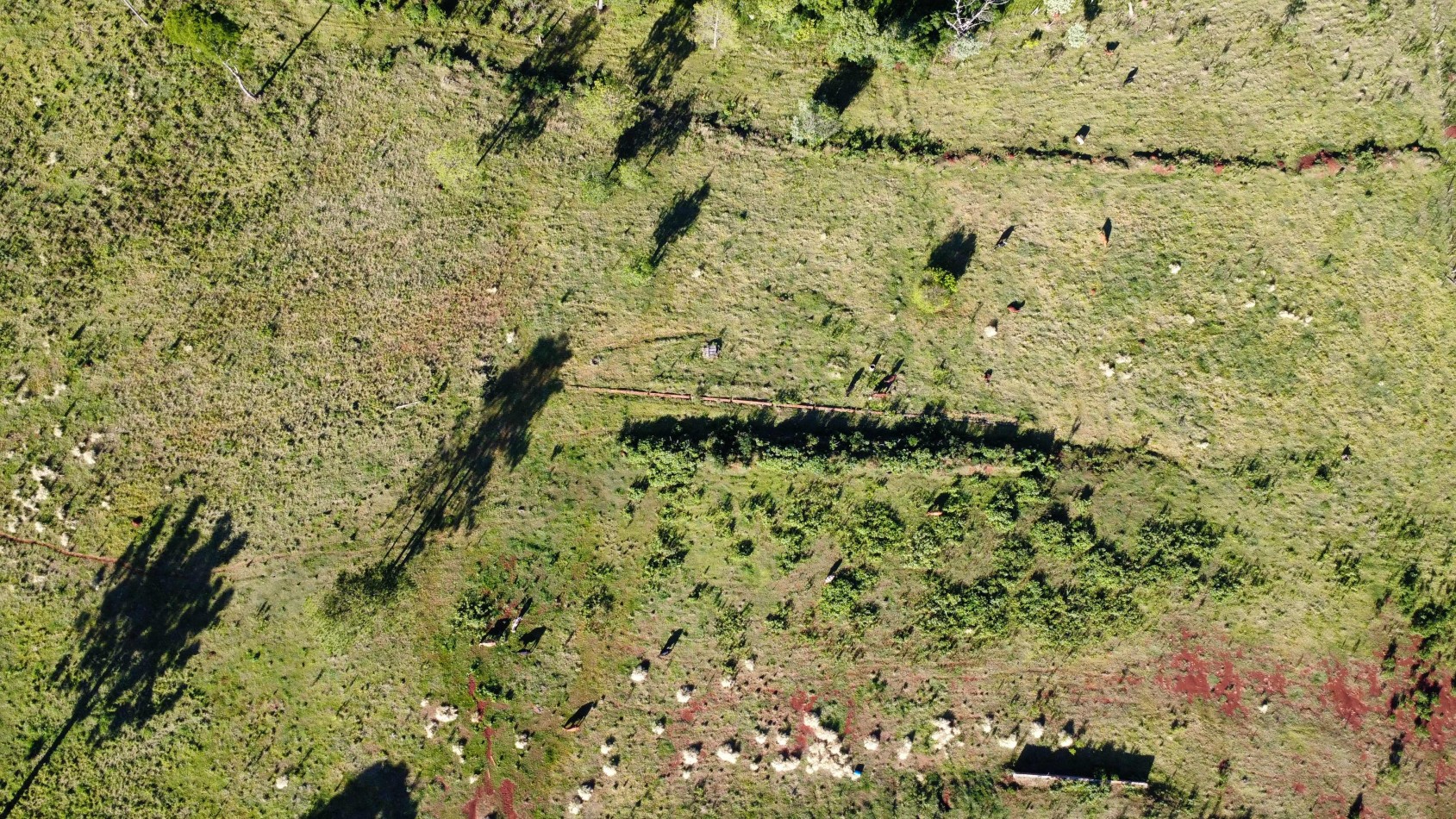 8 hectareas en venta a pasitos de Ruta 14 Aristobulo del Valle