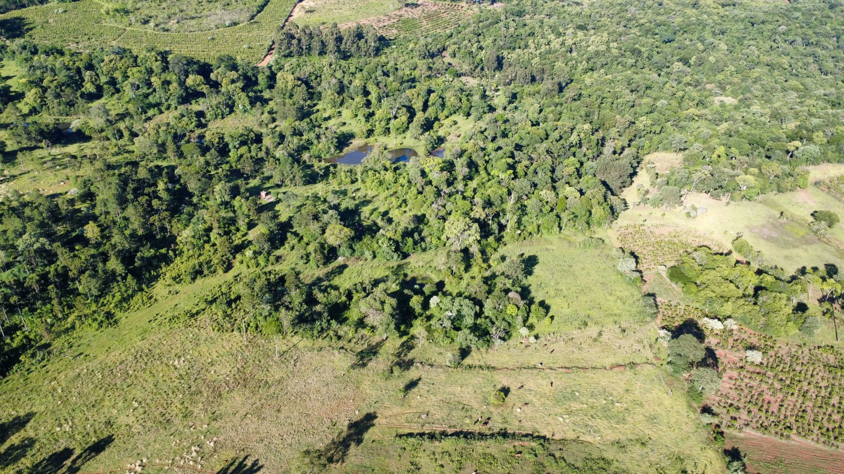 8 hectareas en venta a pasitos de Ruta 14 Aristobulo del Valle