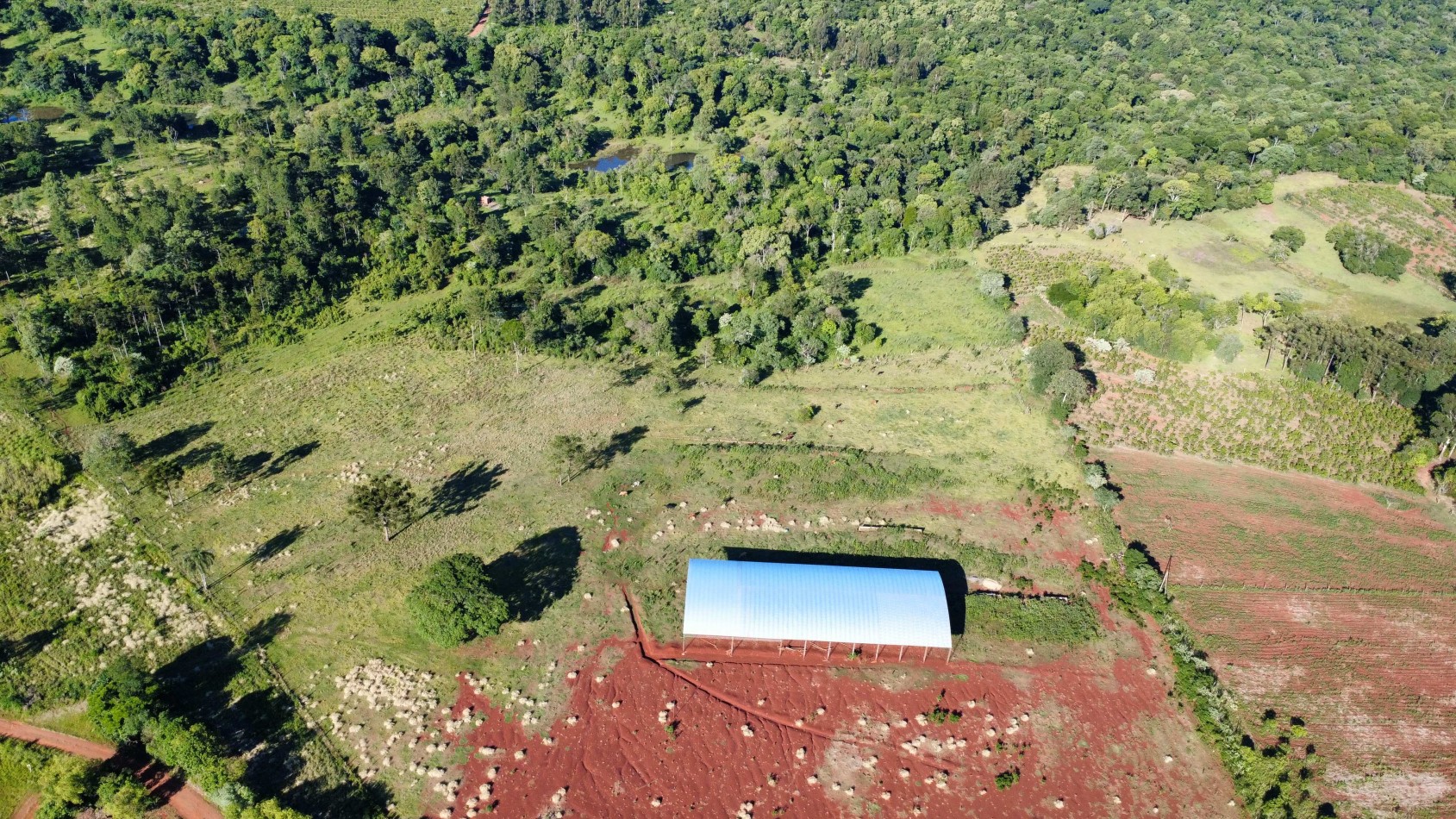 8 hectareas en venta a pasitos de Ruta 14 Aristobulo del Valle