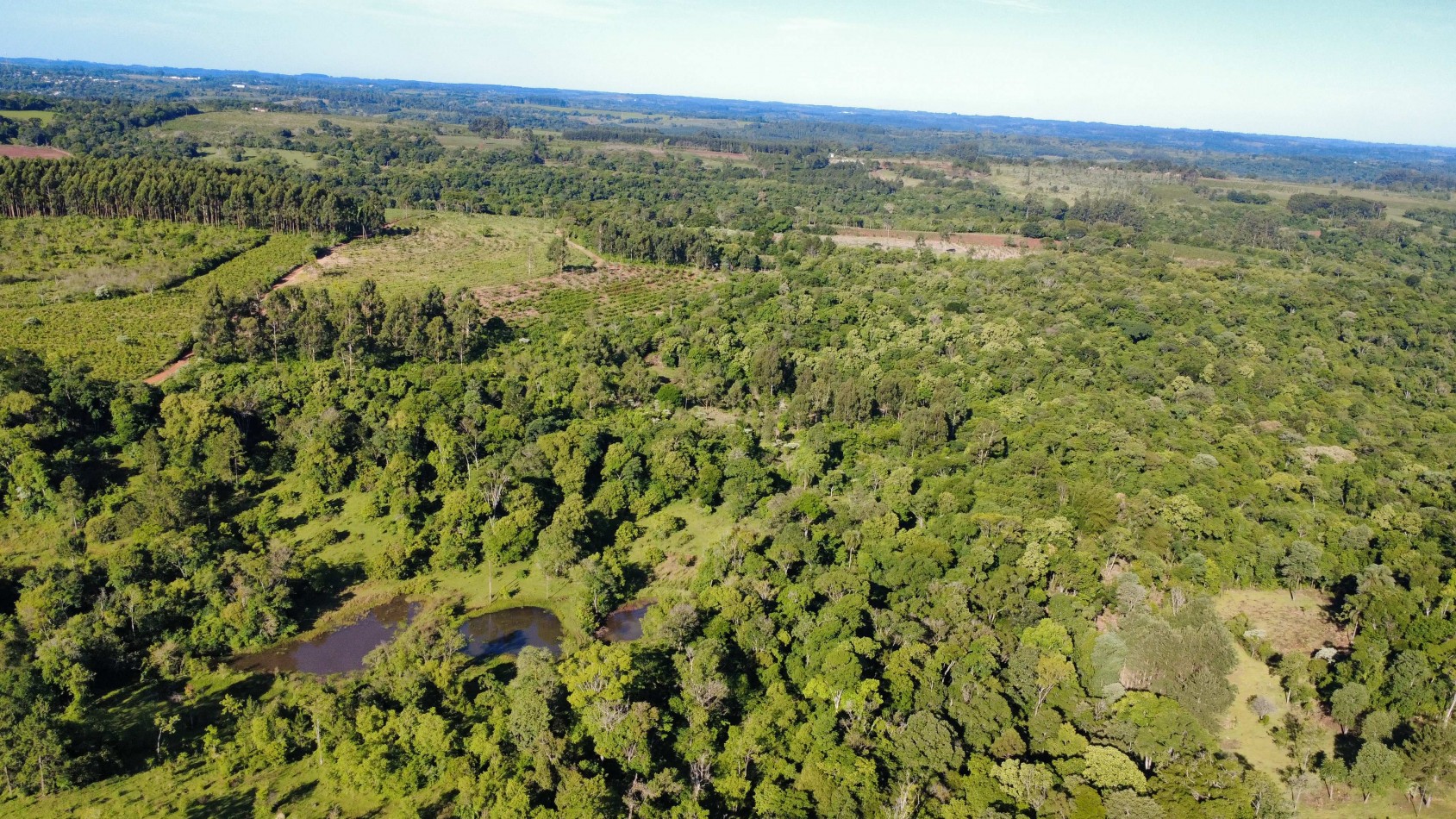 8 hectareas en venta a pasitos de Ruta 14 Aristobulo del Valle