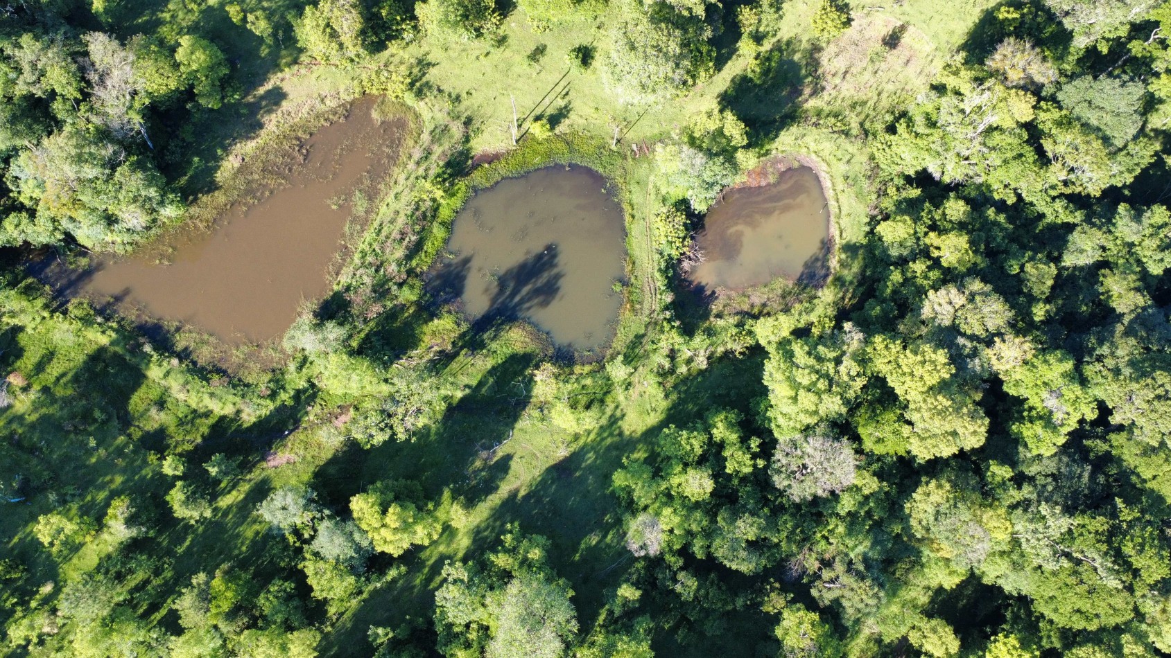8 hectareas en venta a pasitos de Ruta 14 Aristobulo del Valle