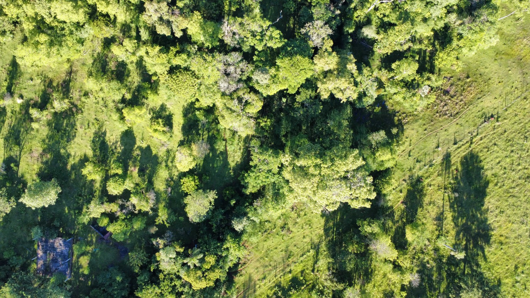 8 hectareas en venta a pasitos de Ruta 14 Aristobulo del Valle