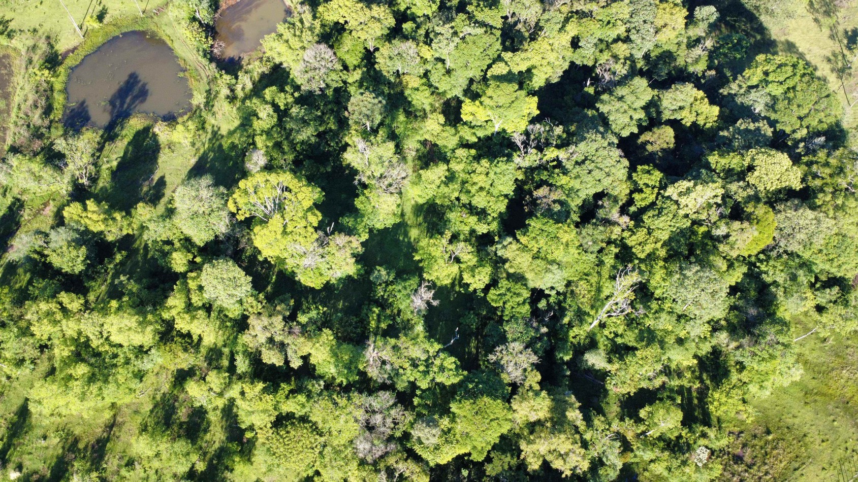 8 hectareas en venta a pasitos de Ruta 14 Aristobulo del Valle