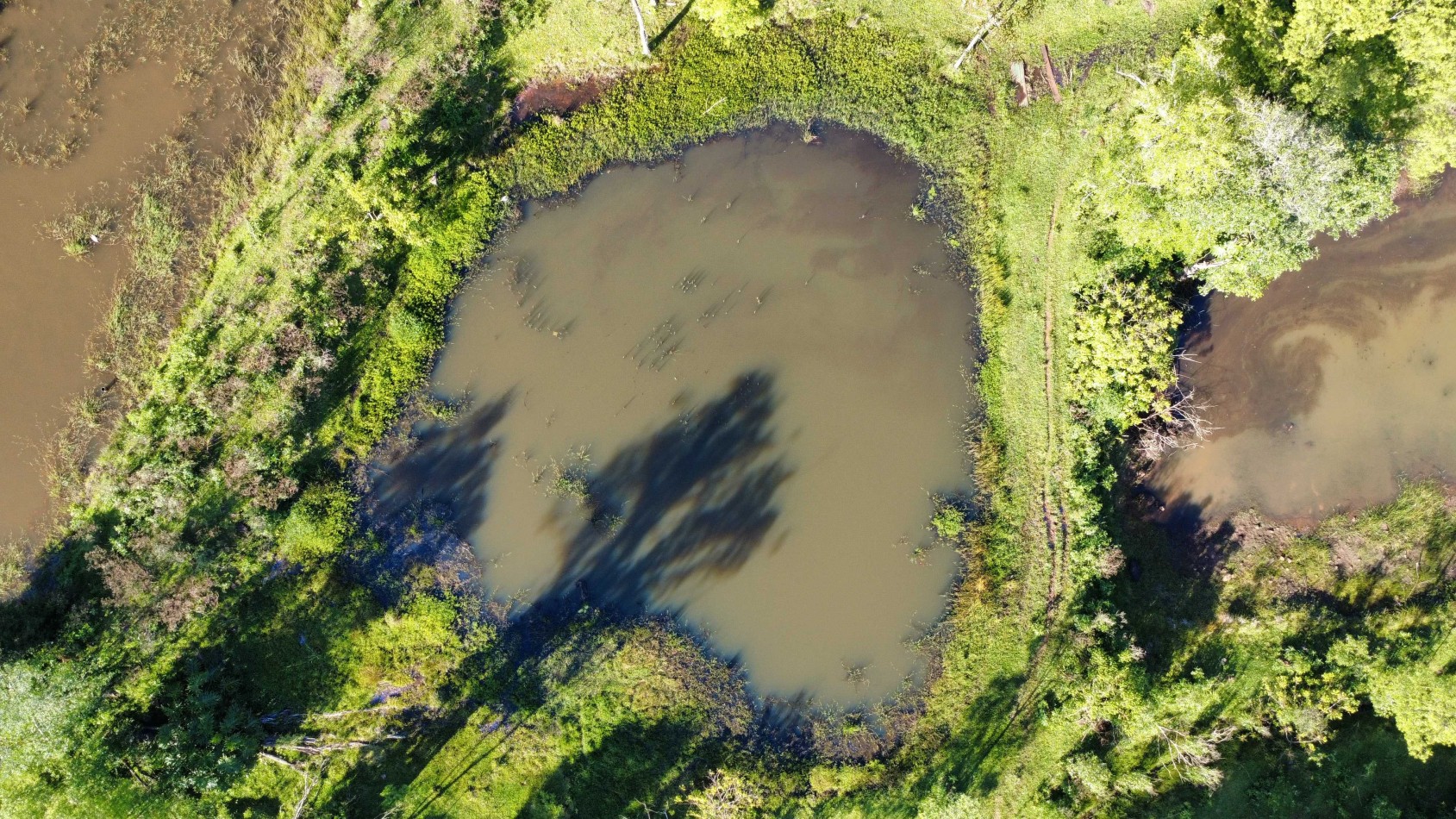 8 hectareas en venta a pasitos de Ruta 14 Aristobulo del Valle