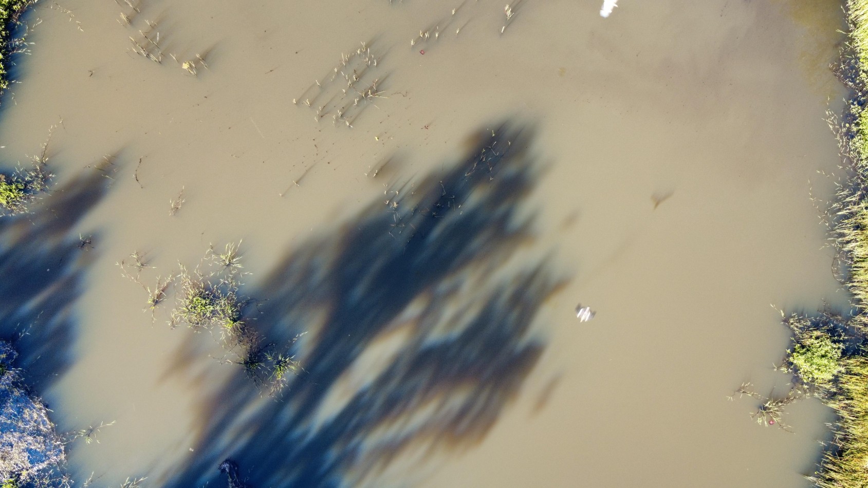 8 hectareas en venta a pasitos de Ruta 14 Aristobulo del Valle