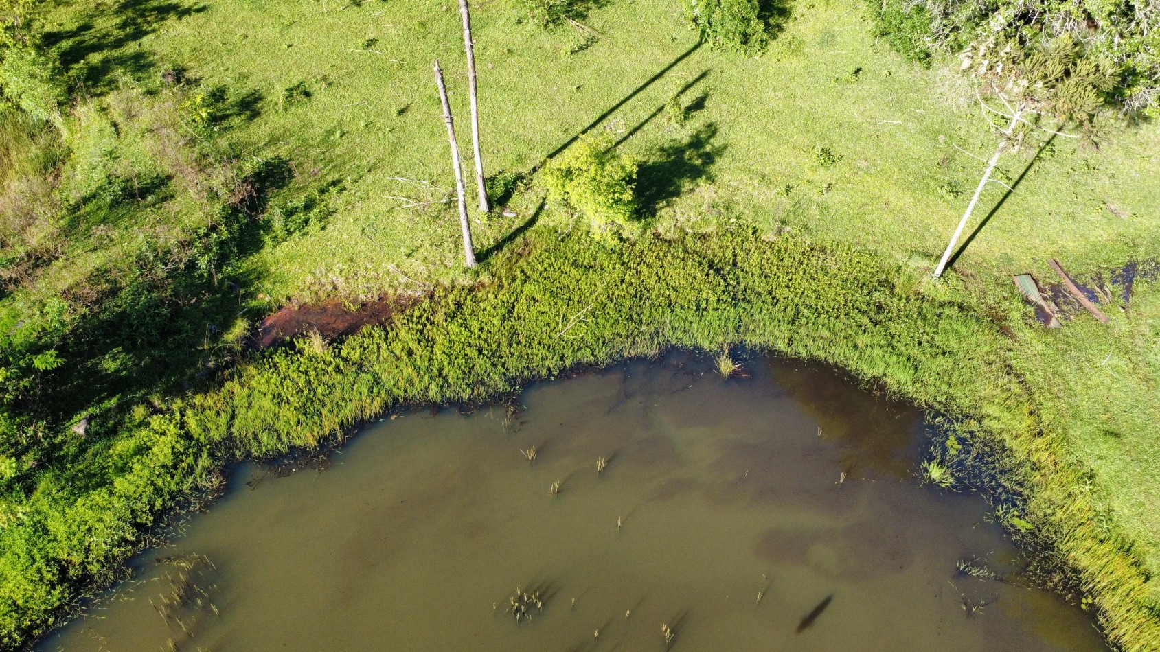 8 hectareas en venta a pasitos de Ruta 14 Aristobulo del Valle