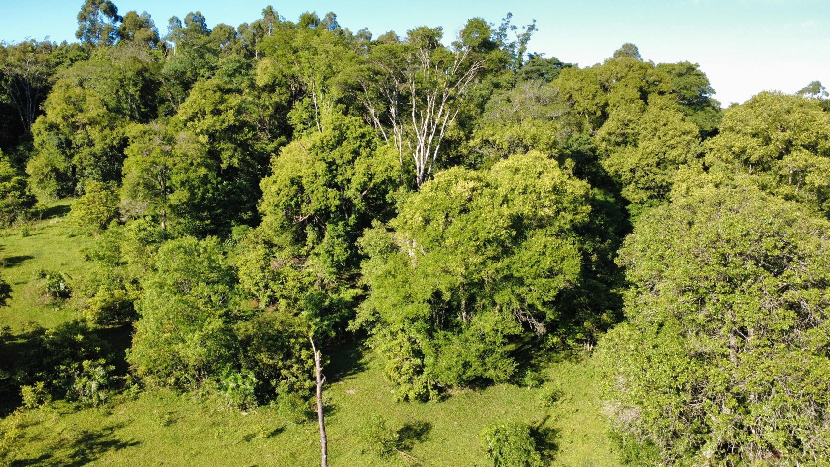 8 hectareas en venta a pasitos de Ruta 14 Aristobulo del Valle