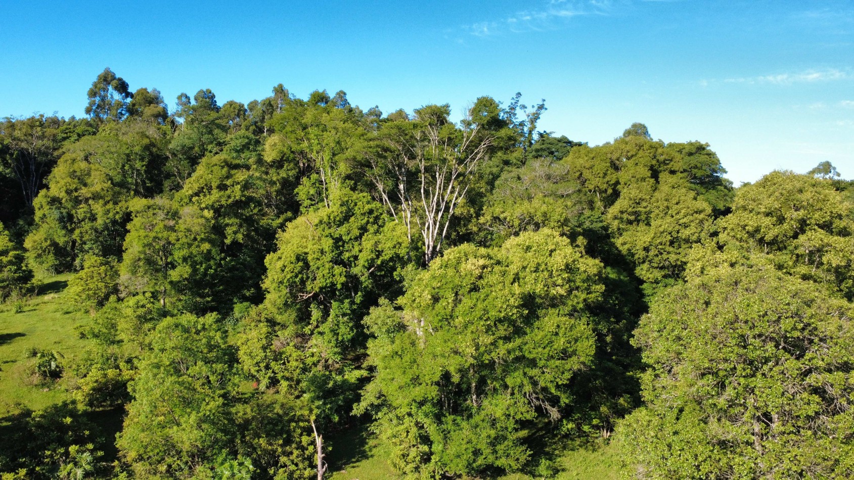 8 hectareas en venta a pasitos de Ruta 14 Aristobulo del Valle