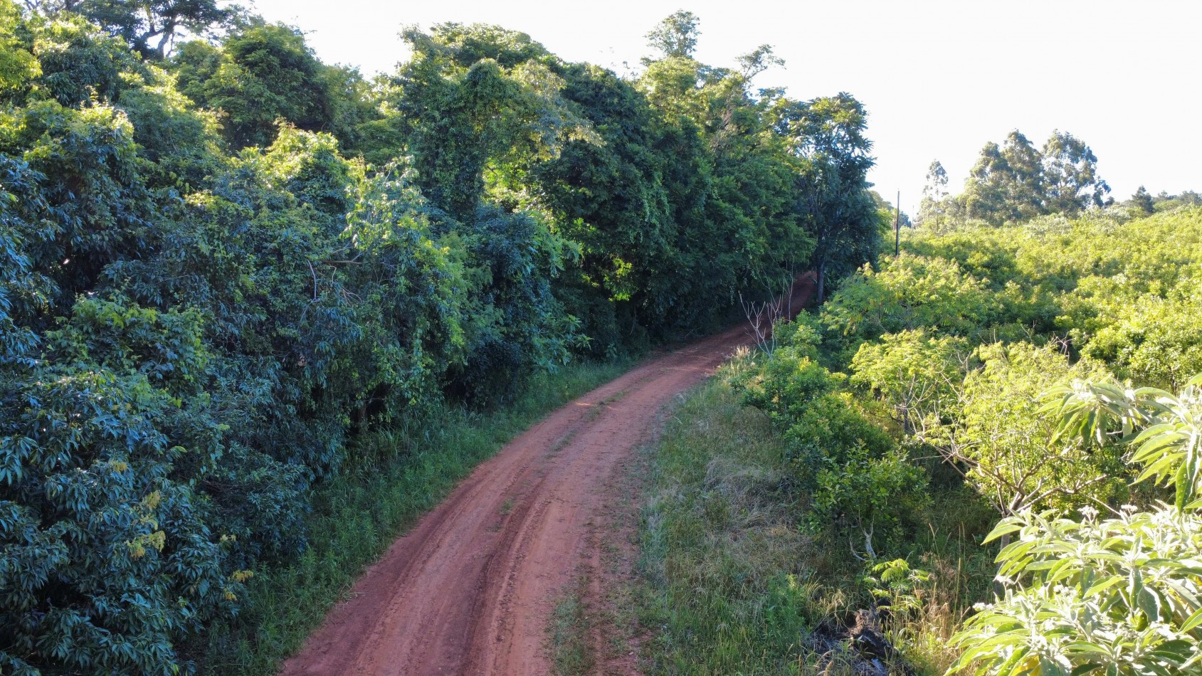 8 hectareas en venta a pasitos de Ruta 14 Aristobulo del Valle