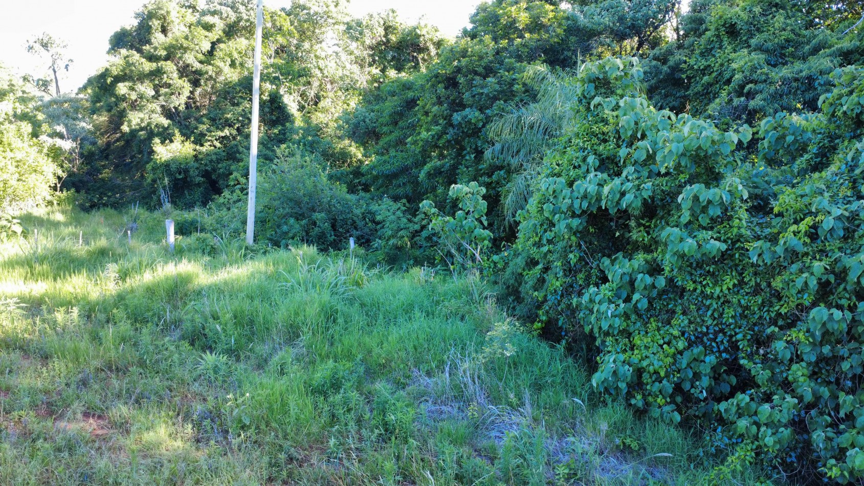 8 hectareas en venta a pasitos de Ruta 14 Aristobulo del Valle