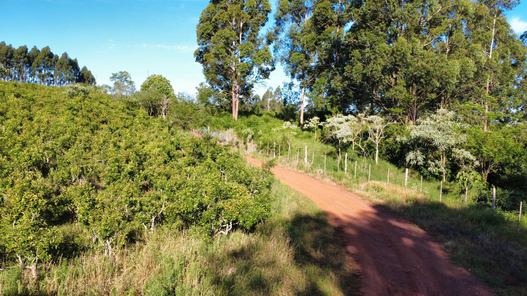 8 hectareas en venta a pasitos de Ruta 14 Aristobulo del Valle